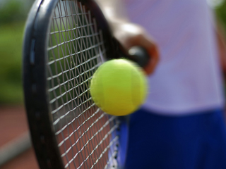 Какую теннисную ракетку лучше выбрать Какую теннисную ракетку лучше выбрать? 